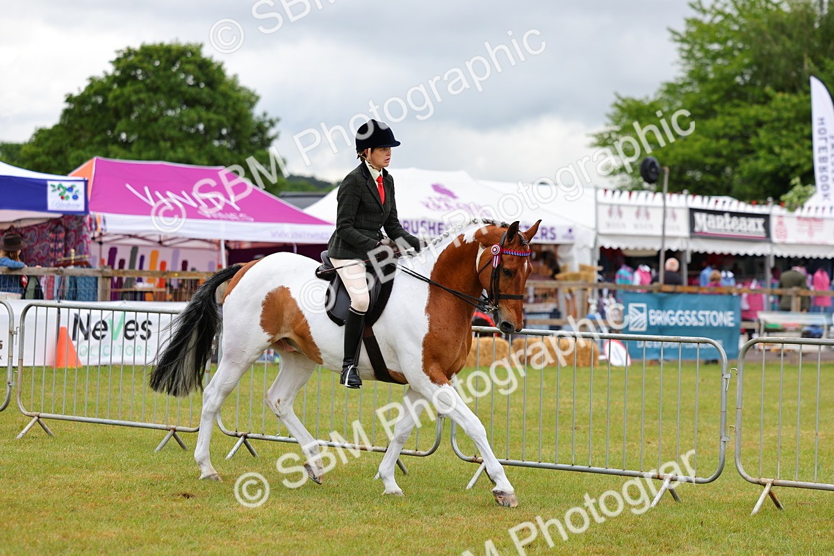 SBM_02473 - Class 9-11 Side Saddle including LIHS Rising Star Ladies Show Horse