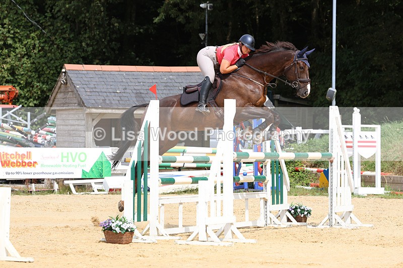 3E7A4286 - Class 8: Senior Foxhunter/1.20 open