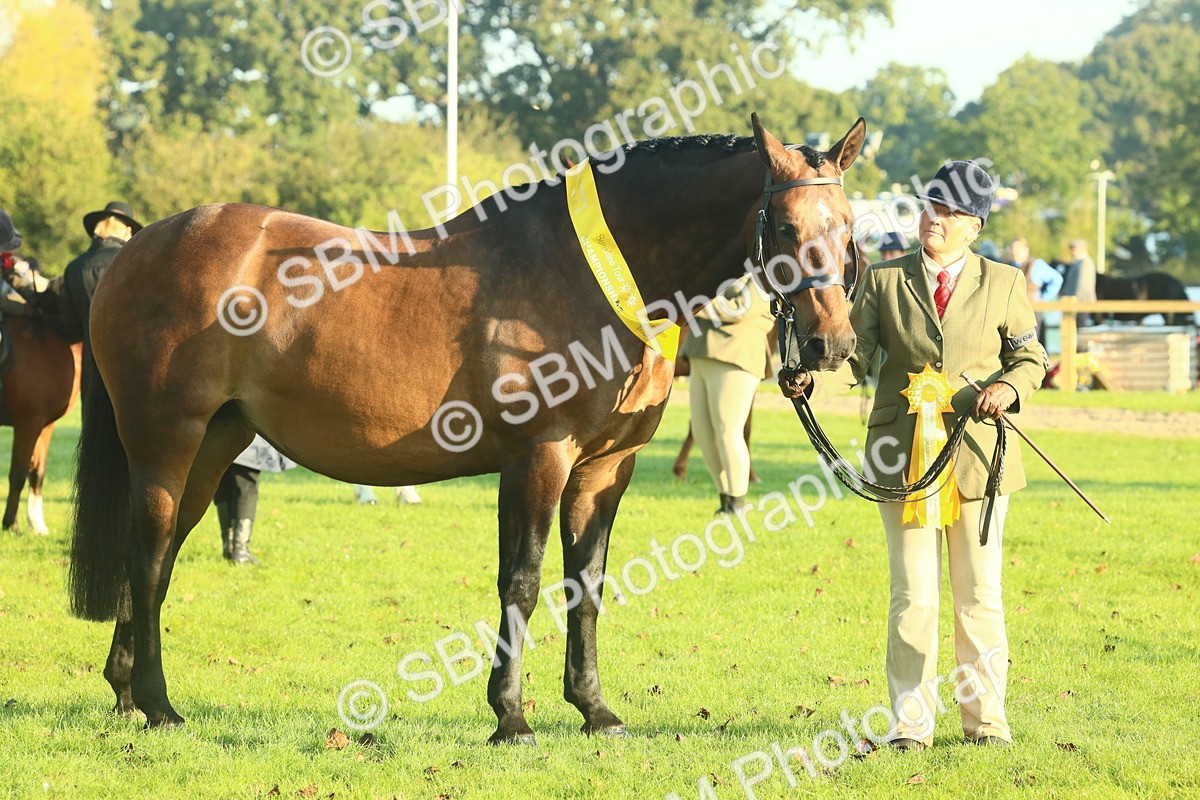 SBM_56743 - S36 - Starters Best Turnout