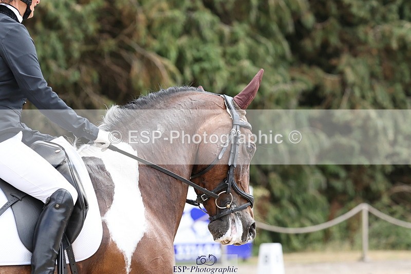 250809A-141854-03959 - 122-Lorraine.MorrisLissyegan.coloured.lady