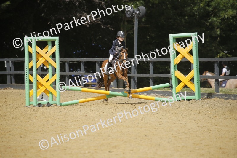 20250622-3940 - 50cm