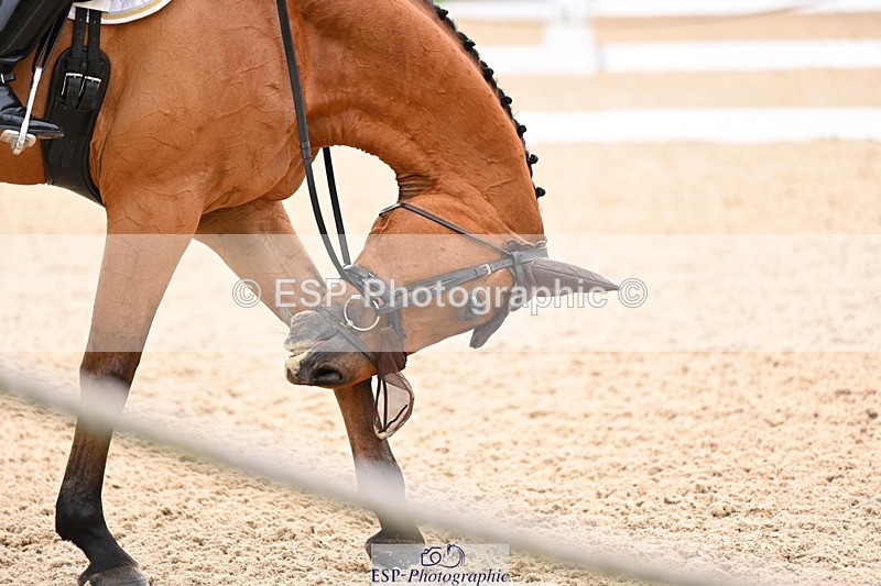 240524-093336-07893 - 506-TALMA_D'ALLOU-Toshiyuki_Tanaka