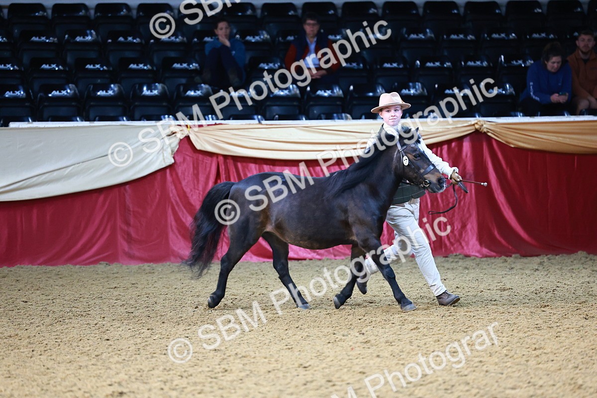 SBM_21795 - Class 901 - Supreme Final - IH  Diamond