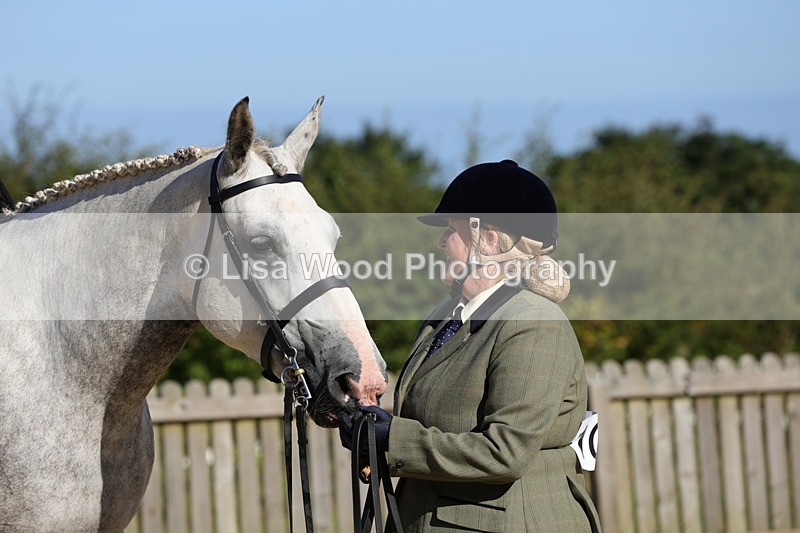 1X9A7626 - Class 7: Novice Ridden Hunter/Hack/Cob/Riding Horse