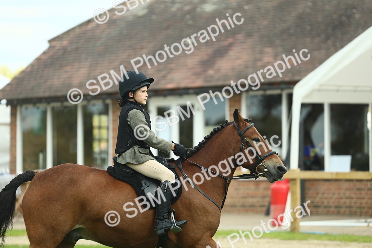 SBM_44604 - S31 - Working Hunter Pony
