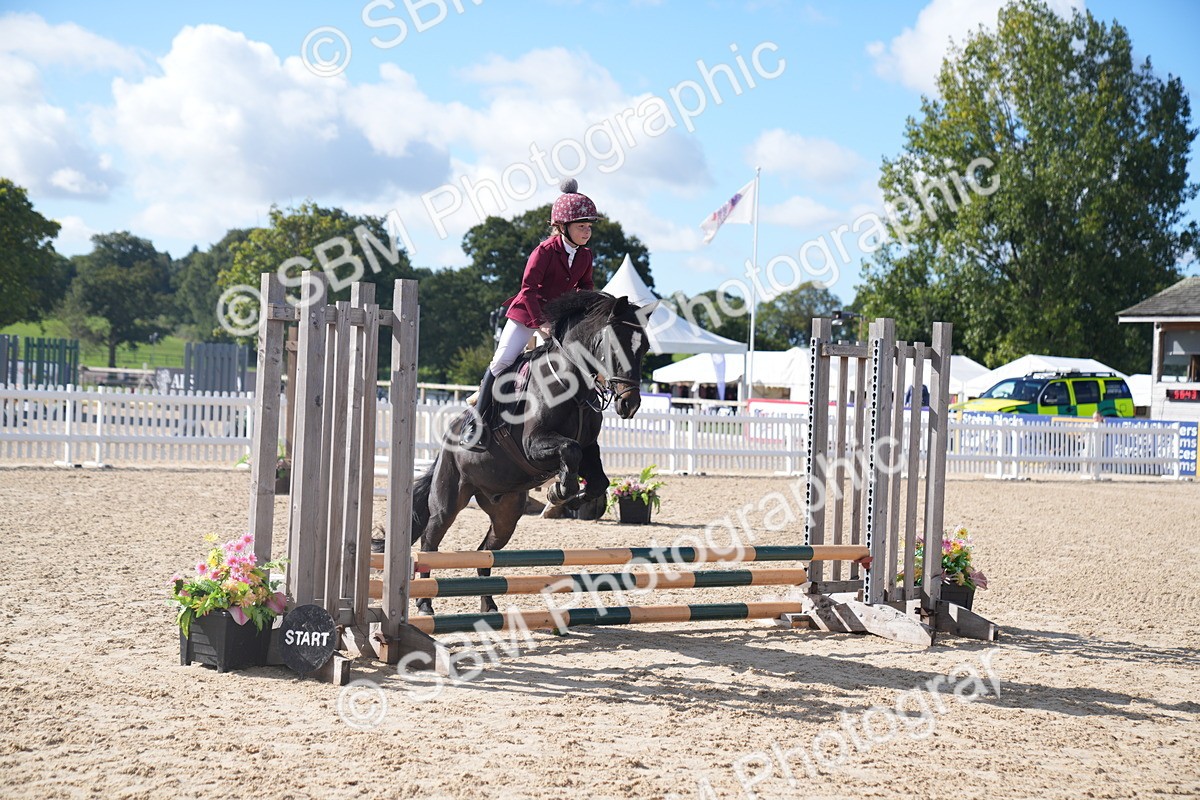 SBM_02435 - J54 Clear Round 45cm