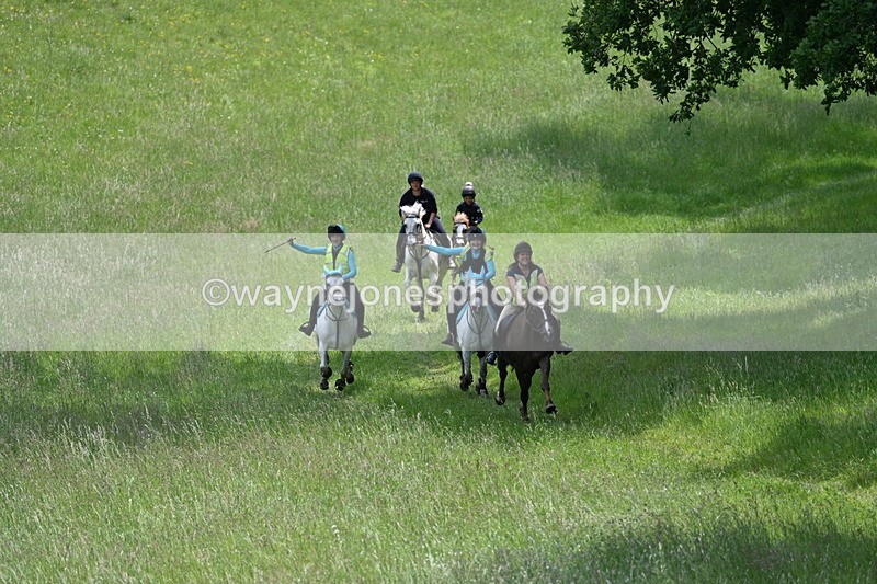 WJ7_8664 - Group 3 10:45am