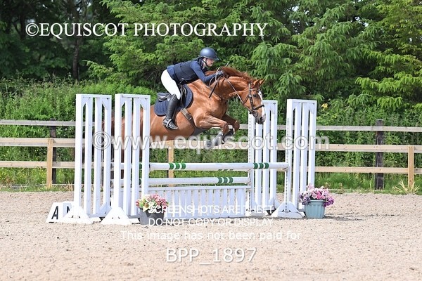BPP_1897 - CLASS 18 SUN British Novice/ 90cm Open