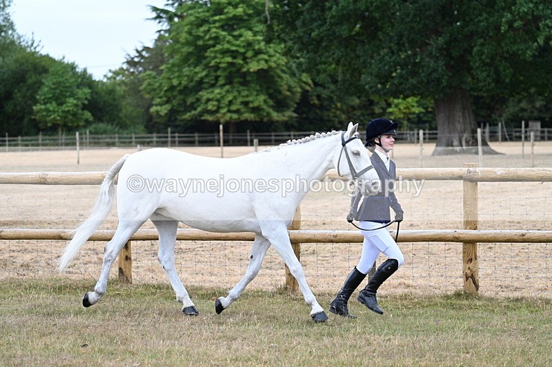 WJ7_8813 - Class 4a Prettiest Mare 14.2hh and over