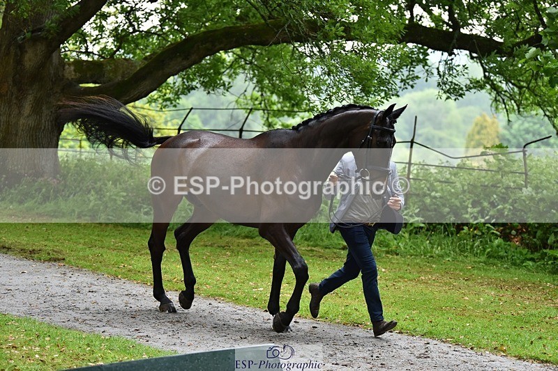 240522-162116-00855 - 201-PRIMITIVE_FUNTIME-Roberto_Scalisi