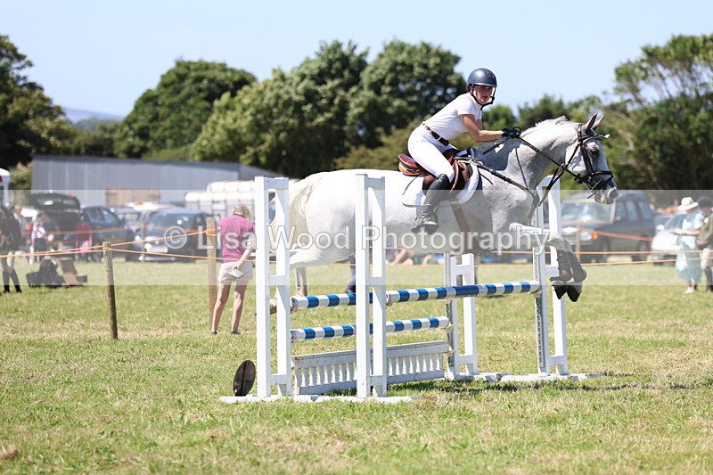3E7A5615 - Class 9: Senior British Novice/90cm open