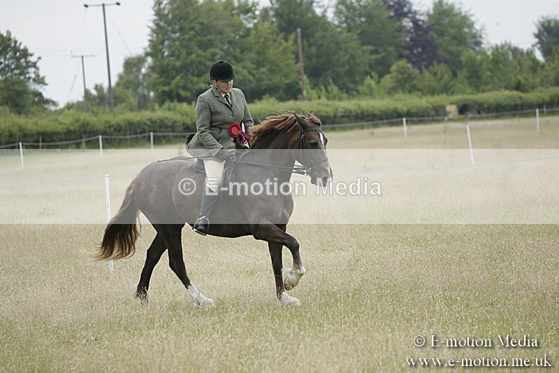 B230619-0991 - Bourne Valley Riding Club Summer Show 23/06/19