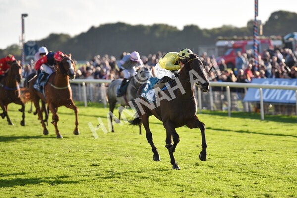 yr08102022r6-37 - Race 6 4.25pm The Watch Racing Online Free With Coral Handicap Stakes