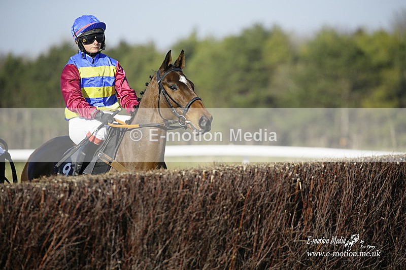 PtP 270222 299 - South & West Wilts Point-to-Point Larkhill 27/02/22