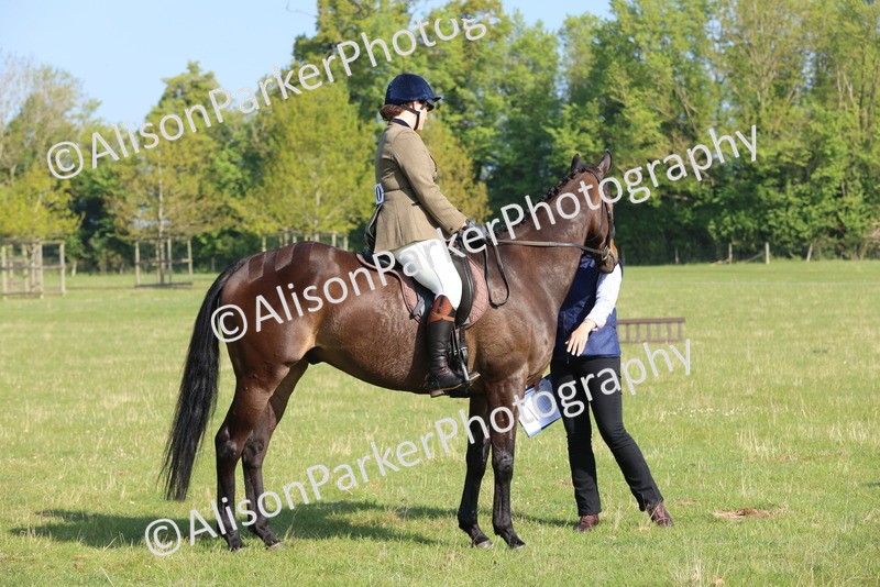 20250427-0555 - Class 17 - Novice Showing