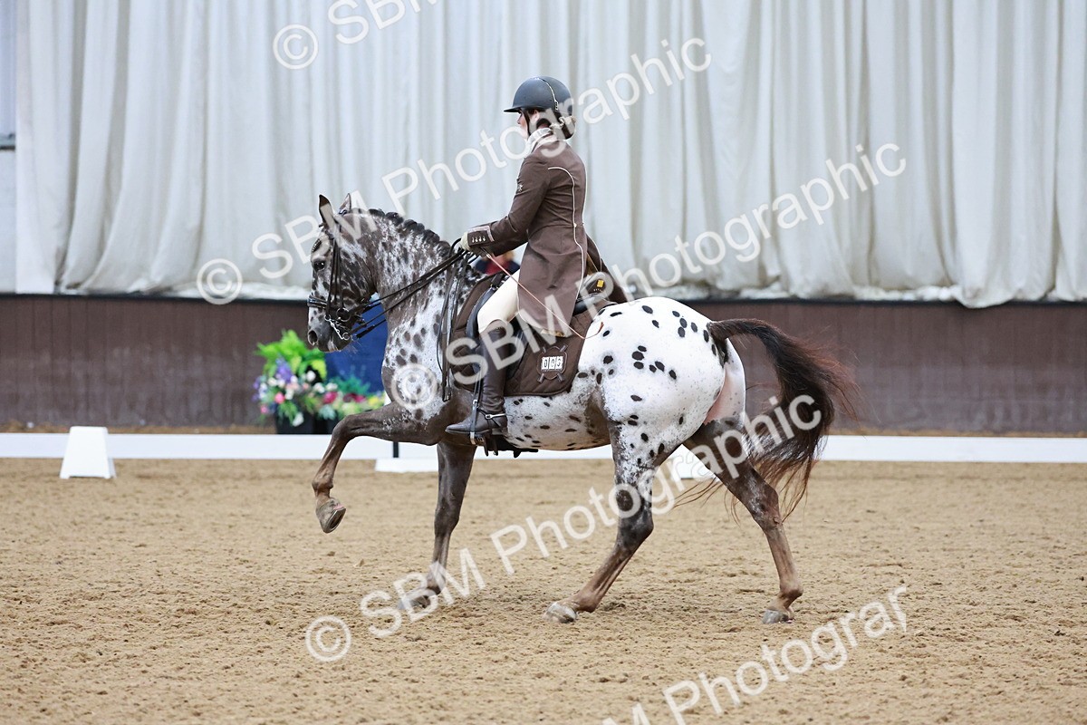 SBM_016590 - Class 5 - FEI INT II - 17.24-18.20