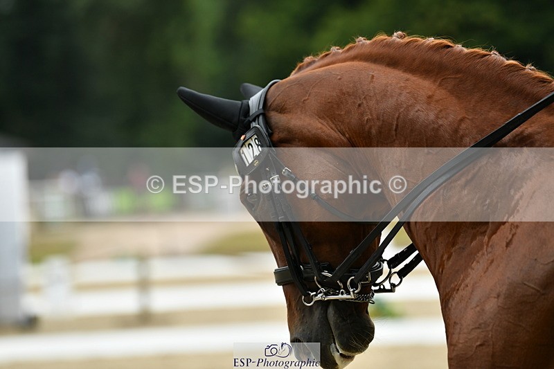 250718A-134946-01882 - 128-Louise.Huntsman-Suzi.Quatro