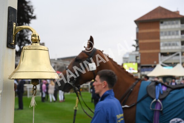 yr22072022r3-19 - Race 3 6.20pm Tomahawk Stakes