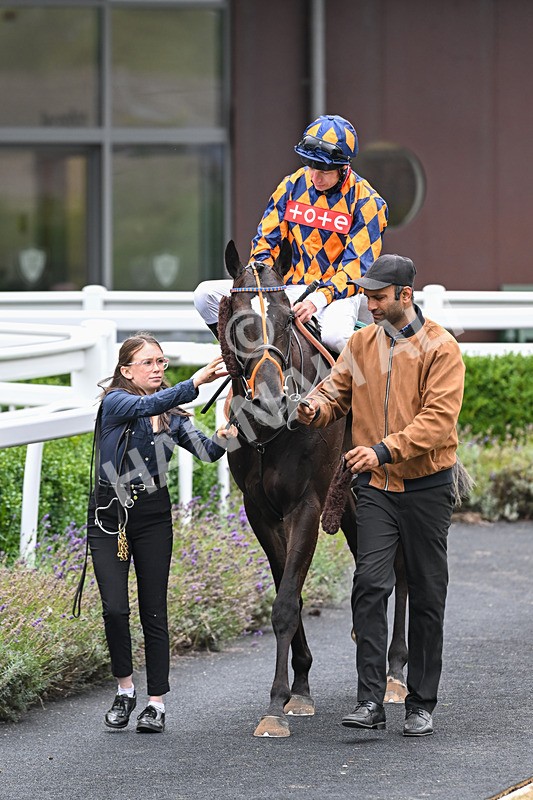 180825-Race 2-Demetrius-8388 - Race 2