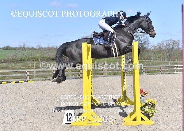 BPP_3203 - CLASS 15 Senior Foxhunter/ 1.20m Open