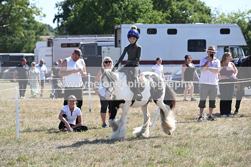 WJ6_8935 - Class 38 Ridden Riding Horse/Pony