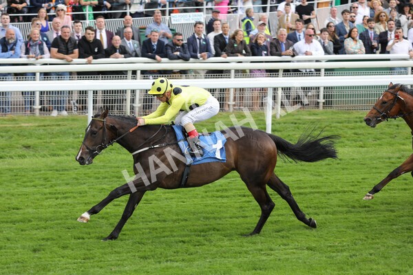 yr11062022r6-31 - Race 6 4.15pm Reg Griffin Appreciation EBFstallions.com Maiden Stakes