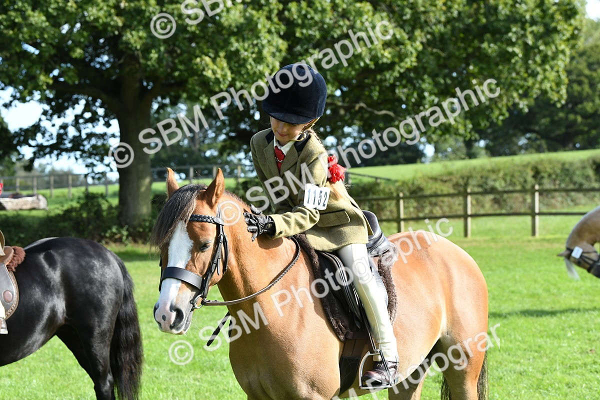 SBM_50460 - S21 - Novice & Newcomers 1st Ridden Pony