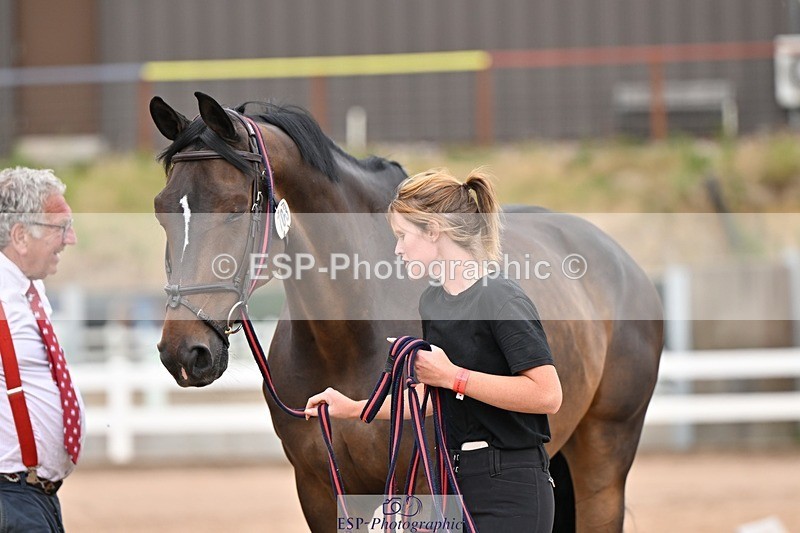 250716-163414-02674 - Trot Up 4.30 to 5.00