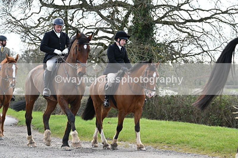 WJ7_9889 - Walk Home