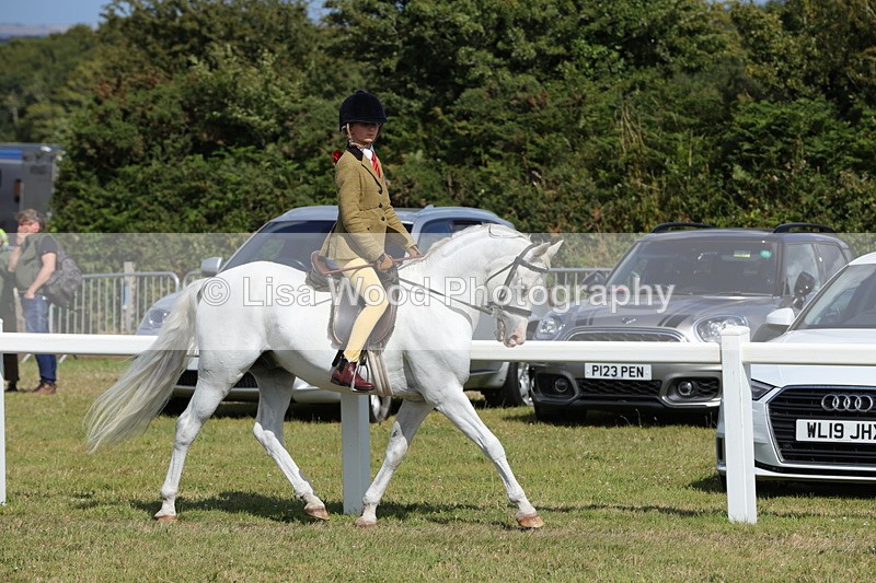 1X9A5656 - Class 40: NPS Welsh A & B