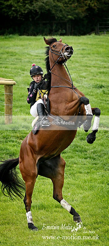 _LEZ0099a - Equestrian