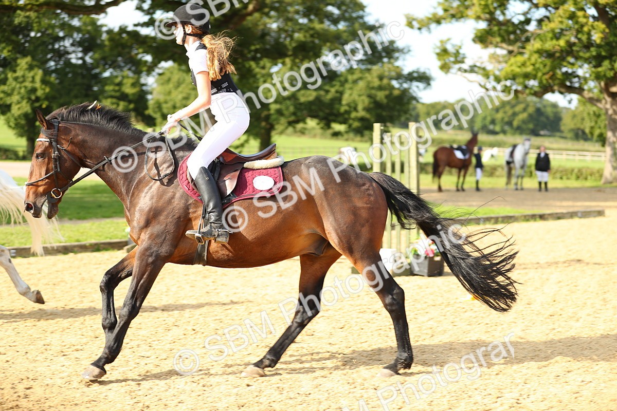 SBM_60468 - J41 - Grand Tour 95cm Championship