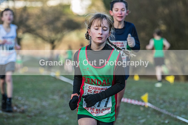 Cumbria XC-219 - Cumbria Cross Country Championships (Junior & Senior Races) Saturday 3rd January 2026