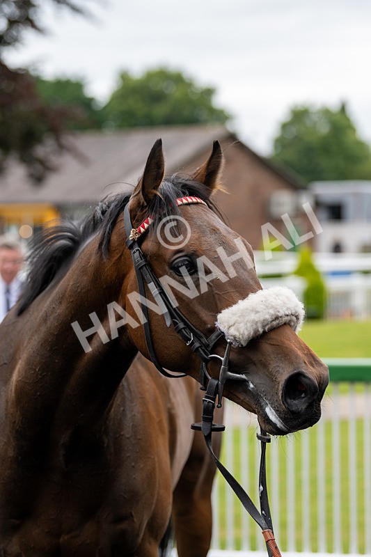 030724-Race 1-Alpha Magic-0385 - Race 1