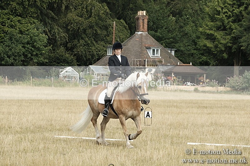 _PJP5720 - Dressage Classes BVRC Show 2018