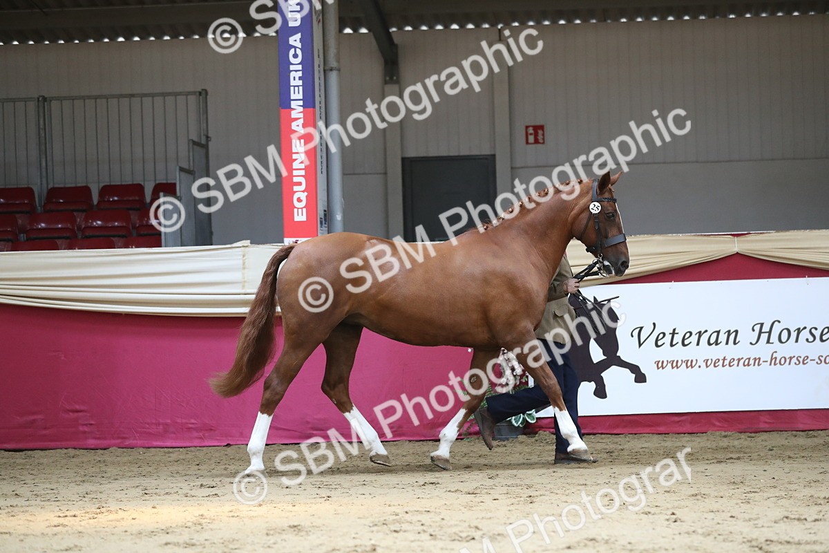 SBM_04340 - Class 7R Regional - IH Diamond