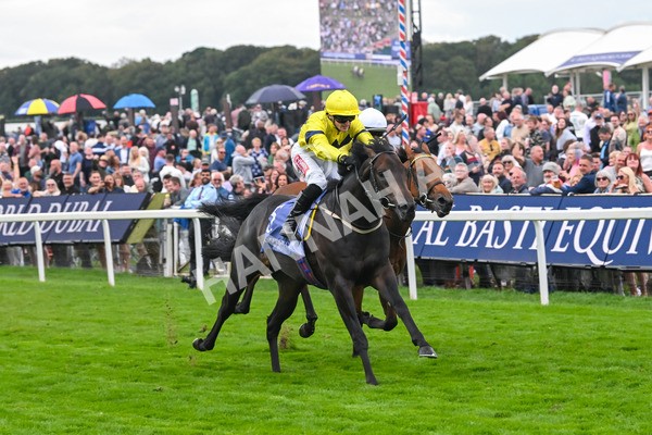220825-Race 3-Lifeplan-7138 - Race 3 3.00pm Al Basti Equiworld Dubai Gimcrack Stakes