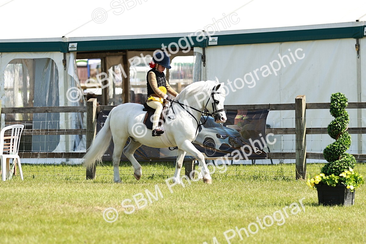 SBM_12846 - Class 106-107 - BSPS LIHS Working Sports Pony