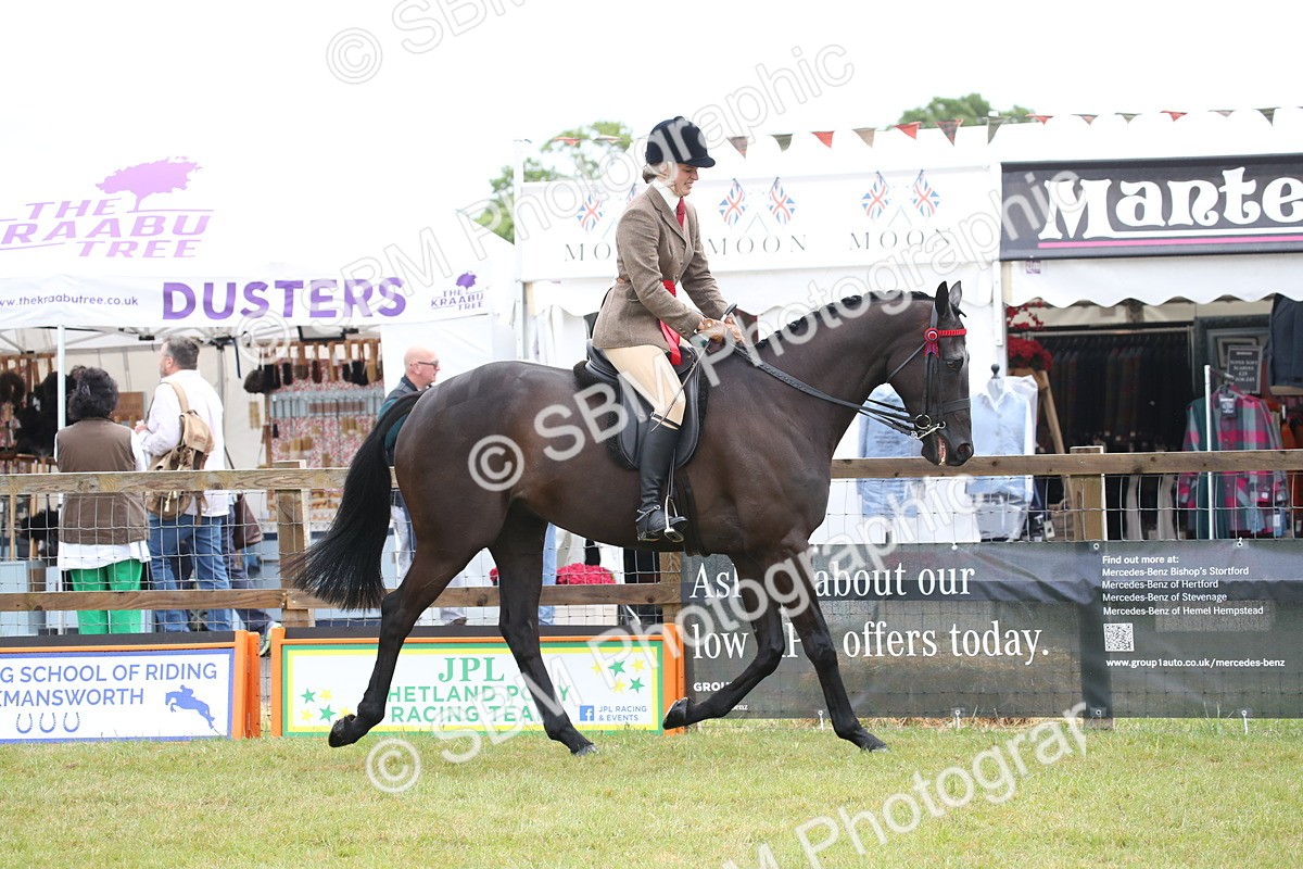 SBM_11477 - Class 94 - LIHS BSHA Racehorse to Showhorse