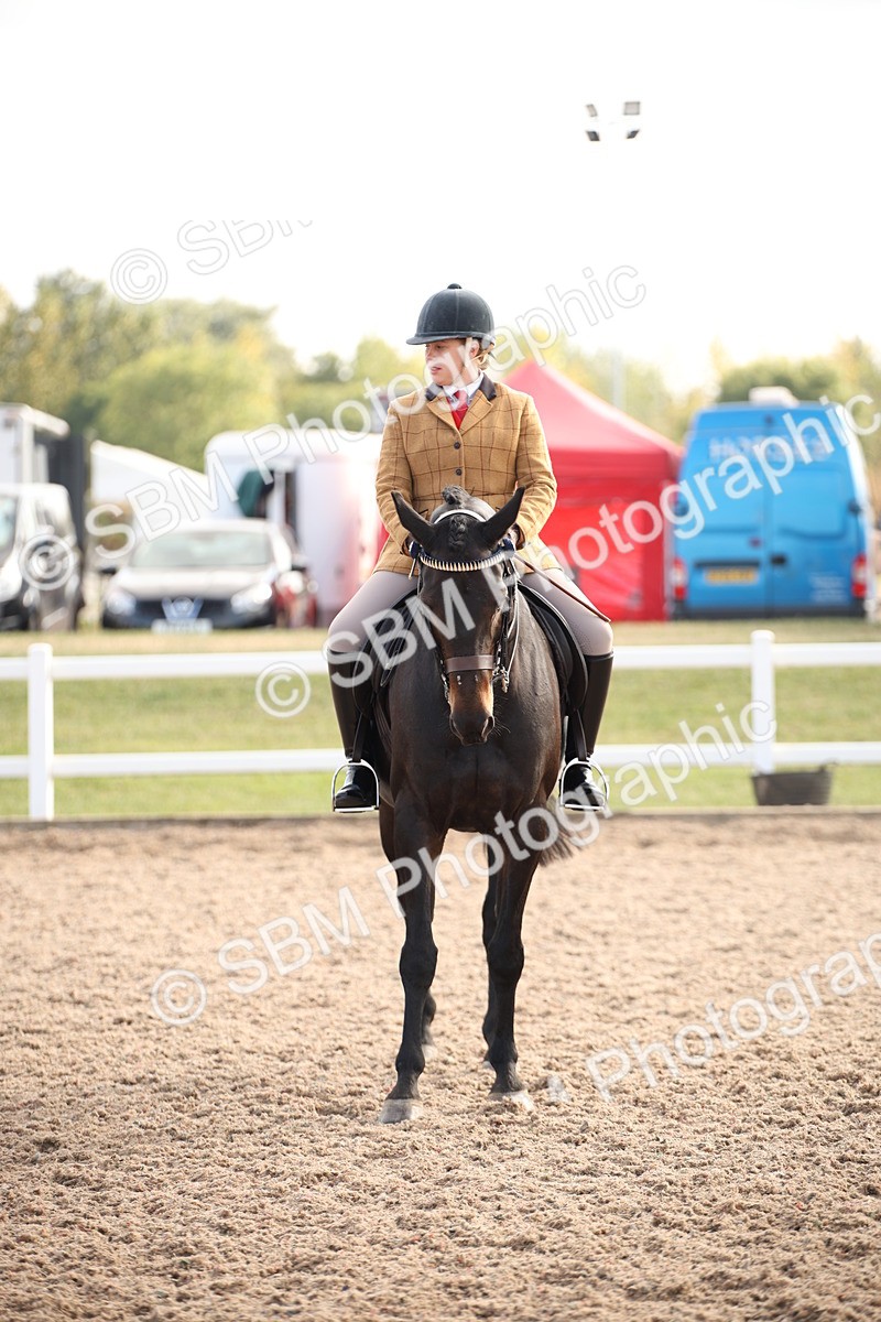 SBM_08827 - Class 12R Regional Ridden Pre-Vet