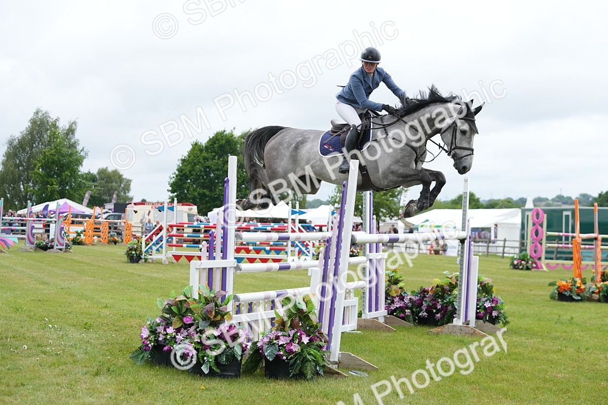 SBM_03173 - Class 201 - British Horse Feeds Speedi Beet Horse of the Year Show Grade  C