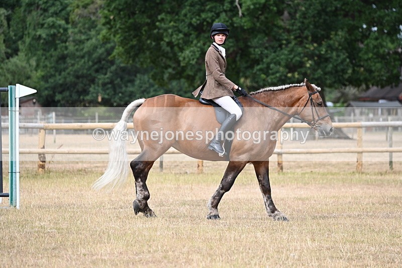 WJ6_7509 - Class 9 Tack and Turnout