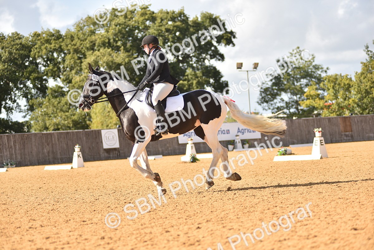 SBM_24317 - D4 - Small Tour Championship Intro 4