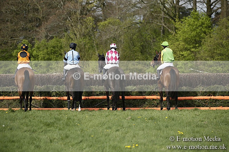 PtP 170417 263 - Old Berks Point-to-Point Lockinge 17/04/17