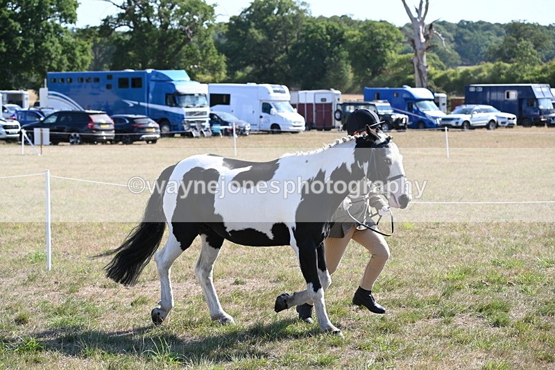 WJ6_7508 - Class 34 Judges Choice
