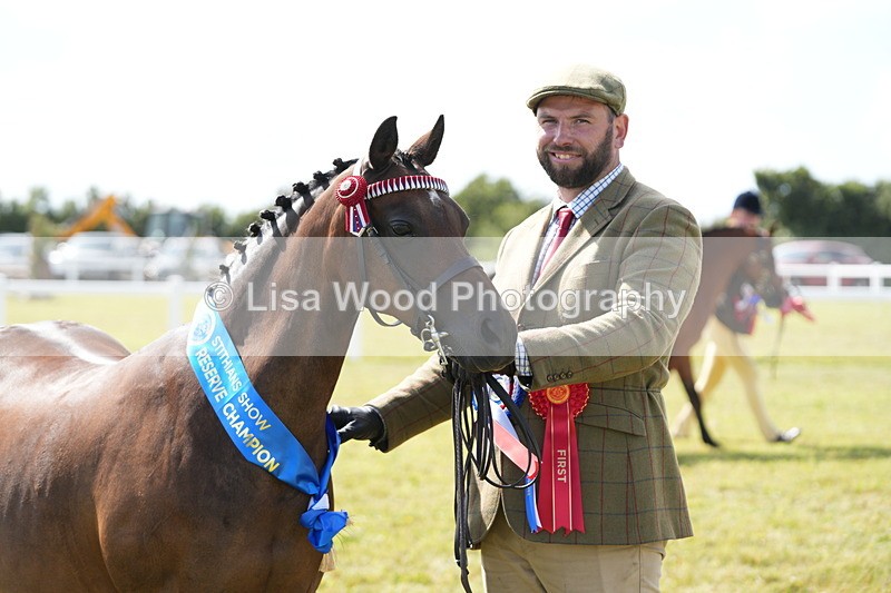 DSC07521 - Pony Breeding Championship
