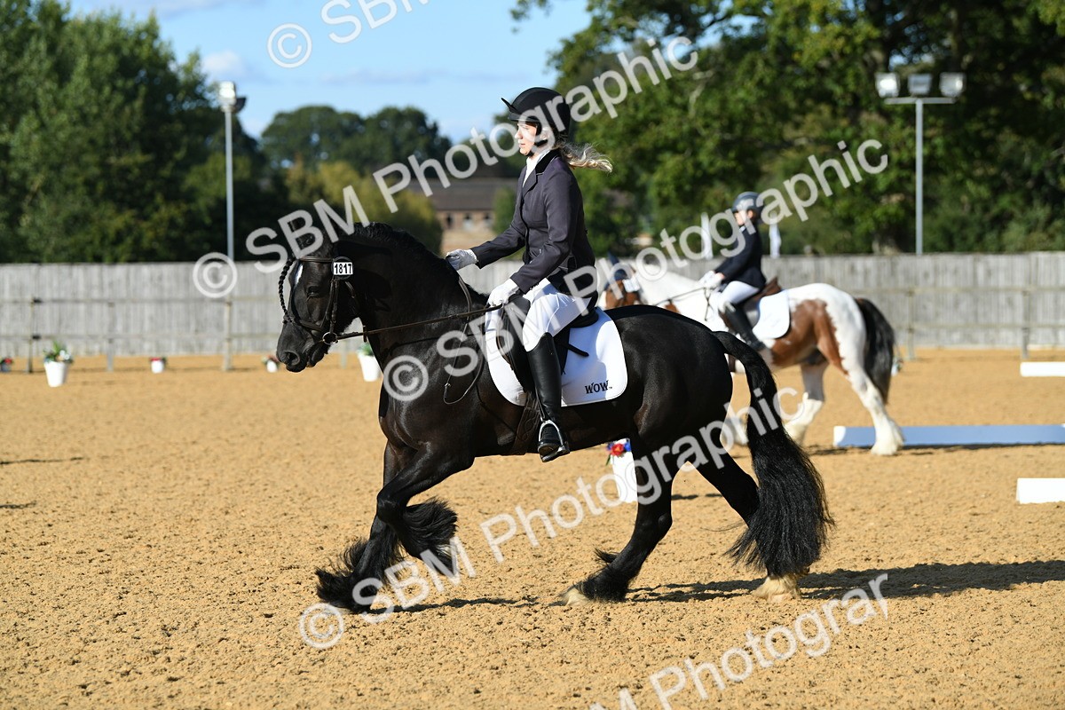 SBM_28469 - D16 - Small Tour Championship - Novice 28
