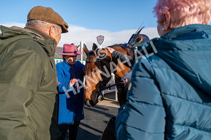 270224-Race 3-Chase A Fortune-6447 - Race 3