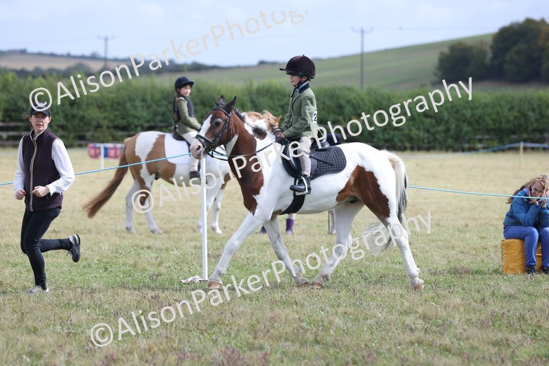 20250831-4316 - Class 20 - Ridden Coloured