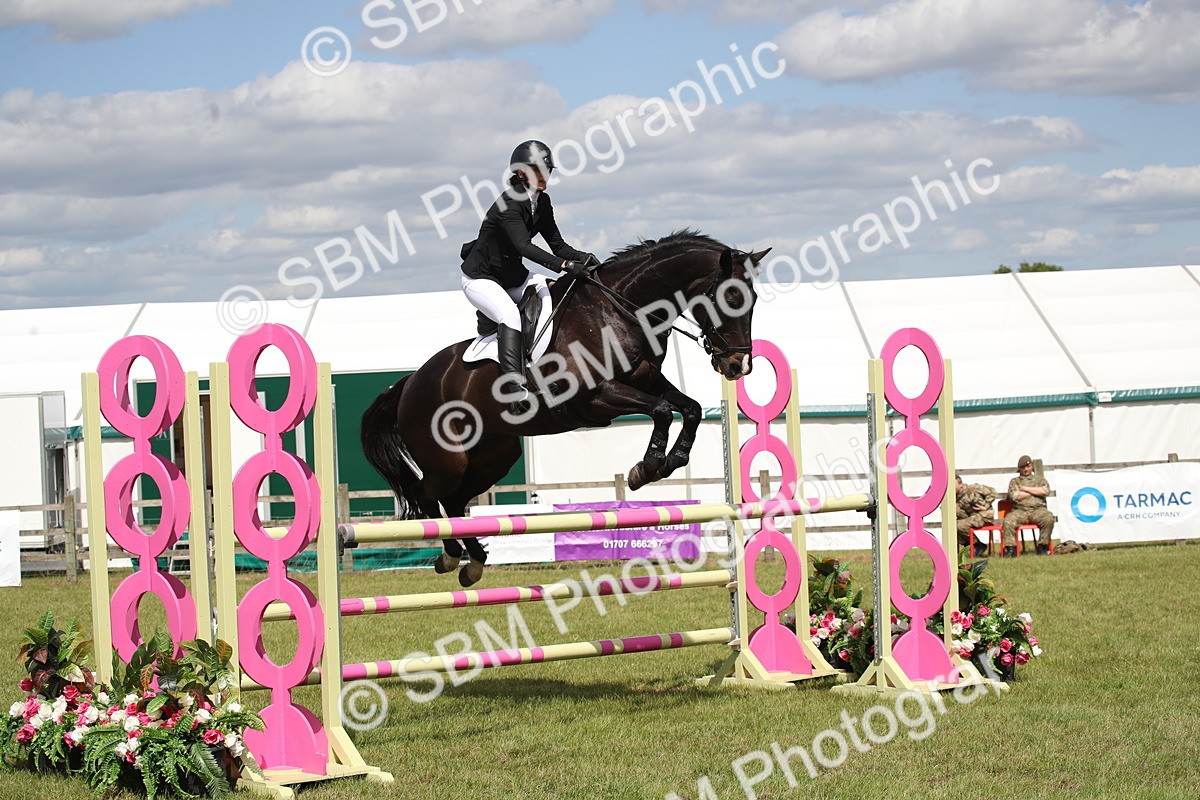 SBM_17431 - Class 208 - Senior Foxhunter 1.20m Open